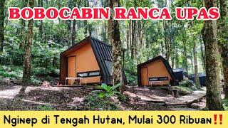 BOBOCABIN RANCA UPAS || 300 Ribuan Aja‼️ Sensasi Menginap di Tengah Hutan dengan Smart Cabin