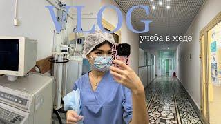 VLOG | учеба в медицинском университете | неделя в меде | как выживает 1 курс