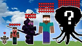 which herobrine VS wither storm is immortal?