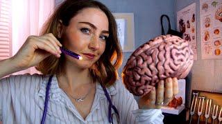 ASMR - CRANIAL NERVE EXAM 2022