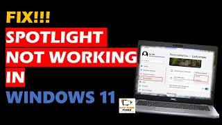 How to Fix Spotlight Not Working in Windows 11