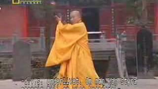 True Power of Shaolin Kung Fu