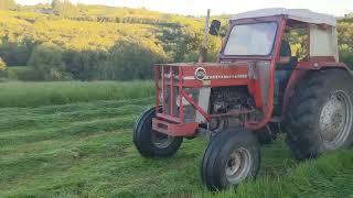 Starting second cut silage | MF 185 on the mower!