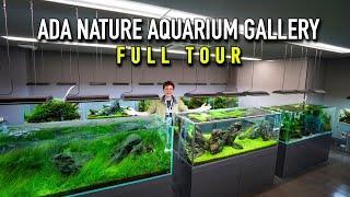 ADA Nature Aquarium Gallery FULL TOUR 2024