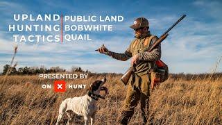 Upland Hunting Tactics with onX: Public Land Bobwhite Quail