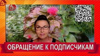 Моим подписчикам - Как не потеряться, если ютуб закроют? Где найти мои рецепты