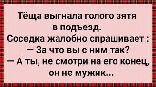 Как Теща Голого Зятя в Подъезд Выгнала! Сборник Свежих Анекдотов! Юмор! Смех! Позитив!