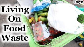 Living on Food Waste - Day2