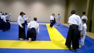 Stage Aikido Yves Flon - Gand 30/11/14