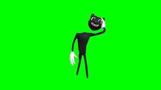 Green Screen Cartoon Cat video effects