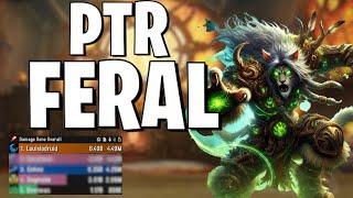 Last run PTR testing - Feral Druid 11.1 | TWW