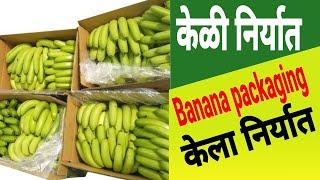 Banana packaging for export