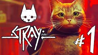 STRAY - Parte 1: Jogo do Gatinho  [ PS5 - Playthrough 4K ]