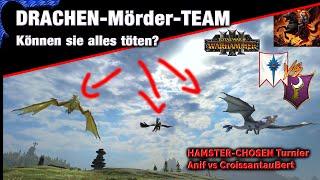 Drachenmord - Dunkelelfen vs Hochelfen - Hamsterchosen Turnier - Total War: Warhammer 3