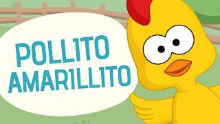 Pollito amarillito - Canciones infantiles - Toobys