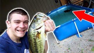 Stocking BASS in our POOL POND!!!