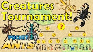 Creatures Tournament - Strongest Creature - Pocket Ants - Smart Daddy