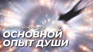 Зачем души приходят на землю. Анатолий Некрасов. Психолог , писатель.