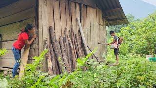 Single father: Harvesting jackfruit to sell, wife regrets treating my father and me so badly