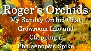 Orchid Growroom Info and Chopping a Phalaenopsis Spike