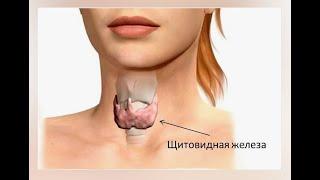 ГИПОТИРЕОЗ: симптомы, о которых вы не знали... «Здоровая щитовидка» Как ее восстановить