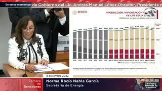 Comparecencia de la secretaria de Energía, Rocío Nahle, ante la Comisión de Energía, 8/12/2022