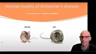 Animal models of Alzheimer's disease explained!