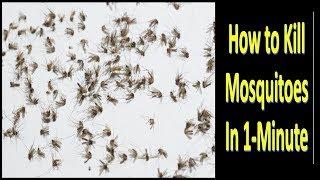 Without ALLOut, GOODnight, and Without Chemicals, How to Kill Mosquitoes in One Minute