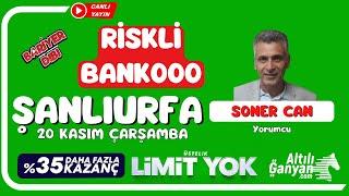 ŞANLIURFA / Canlı Yayın / Bariyer Dibi / 20 Kasım 2024 Çarşamba #atyarisi