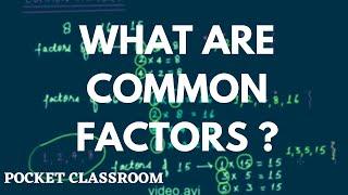 What Are Common Factors? || Grade 6