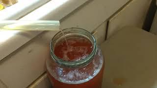 Pressing Dolgo Crabapples