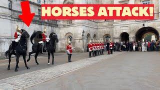 Terrifying Moment: Horses Attack During Guard Ceremony  - Watch the Shocking Scene!