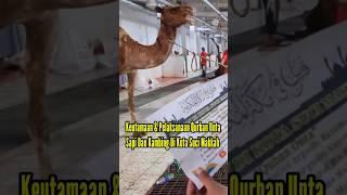 KEUTAMAAN QURBAN DI KOTA SUCI MAKKAH