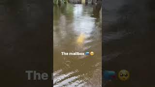 Tropical Storm Debby Flooded my Parent’s home and many others | Sarasota Fl