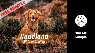 Free Film LUT WOODLAND | Free VN LUT for Reels | Premiere Pro LUTs Free | Free Cinematic LUTs