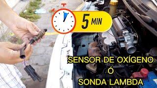 Test OXYGEN Sensor and ECU in 5 MINUTES