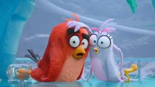 THE ANGRY BIRDS MOVIE 2 RED BEST MOMENTS Part 2 [HD] ANIMATION MOVIE