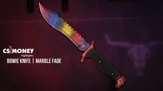 CS:GO | Bowie Knife - Marble Fade