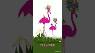 Flamingo 53 #shorts #viral #youtubeshorts #love