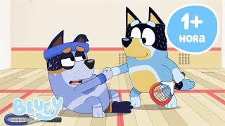  EN VIVO: Hora de hacer deporte con Bluey (1 hora o más) | Bluey