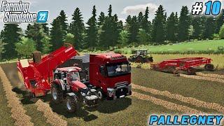 New Machines in Action: Sunflower Planting & Potato Harvesting | Pallegney Farm | FS 22 | ep #10