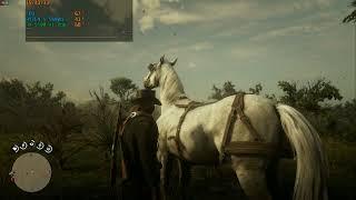 ryzen 5 5600g rx 5500 xt 8gb red dead redemption 2