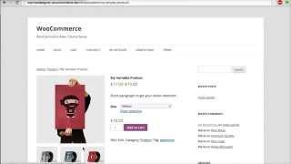 14 - How To Change Product Images Size? (WooCommerce Tutorial)