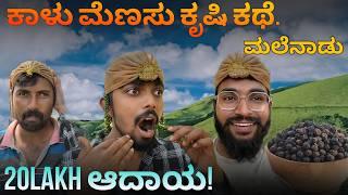 ಮಲೆನಾಡು ಕಾಳು ಮೆಣಸು ಕೃಷಿ ಕಥೆ | 20lakh ಆದಾಯ! | Srinath and Vinay Kumar vlogs