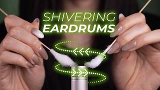 ASMR Make Your Eardrums Shiver |  Fast Panning Warning (No Talking)
