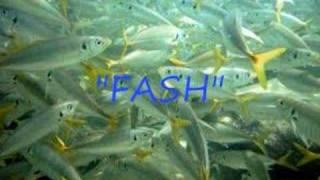 Hilarious Wind Up - "FASH!!"