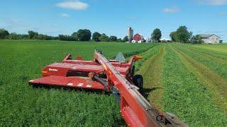 Cutting Third Crop