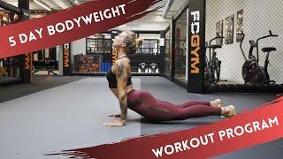 Bodyweight Only Workout!