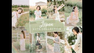 14 Japan Video LUTs | Japan LUTs | Instagram LUTs | Influencer LUTs | Travel LUTs