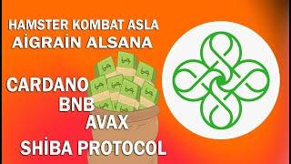 HAMSTER KOMBAT ASLA ALMA - CARDANO ADA - BNB - AVAX - AİGRAİN DİYORUM SANA?